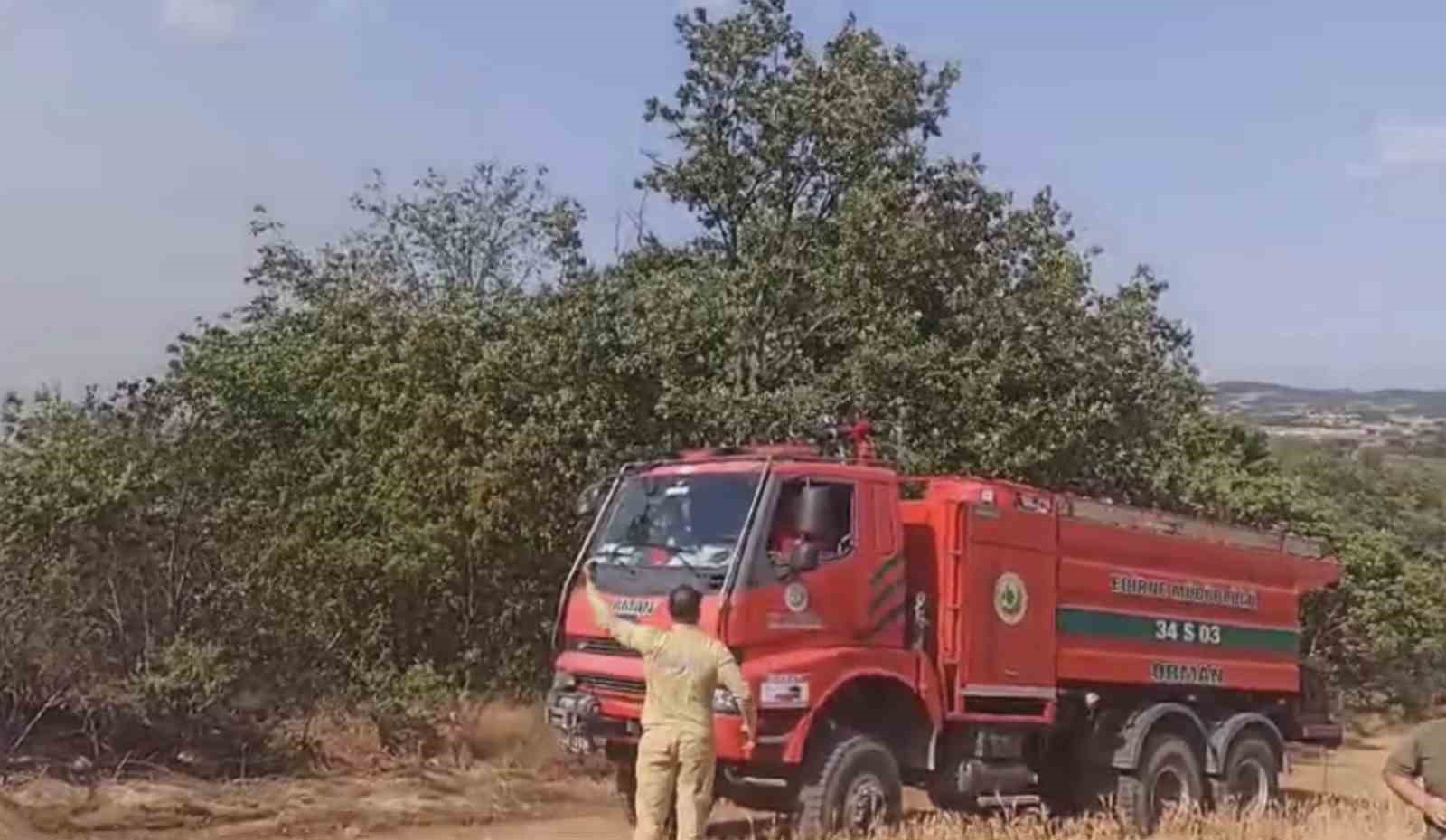 T&uuml;rkiye-Bulgaristan sınırında &ccedil;ıkan yangın s&ouml;nd&uuml;r&uuml;ld&uuml;
