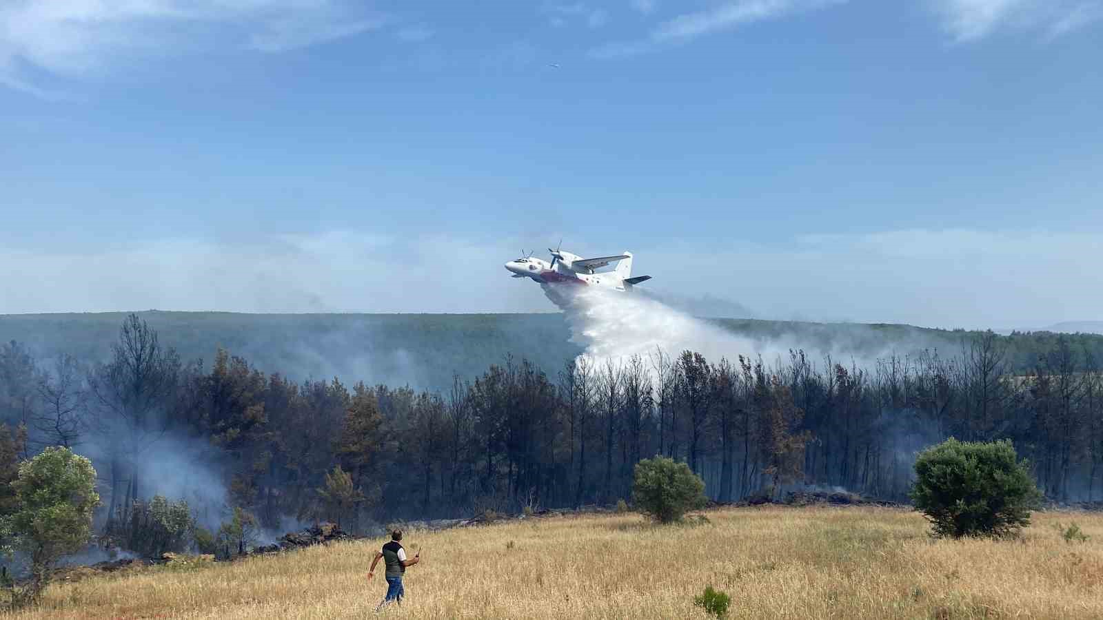 Eceabat’taki orman yangını devam ediyor