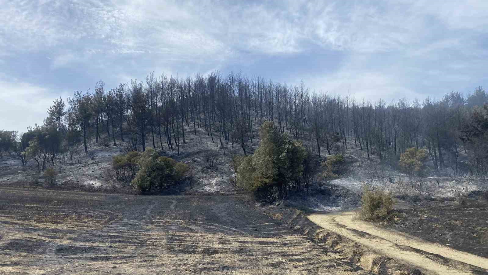 Eceabat&rsquo;taki orman yangını devam ediyor
