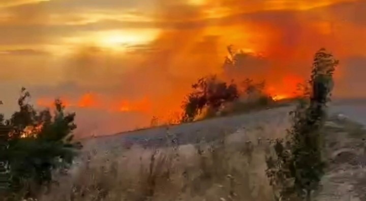 Buğday tarlası saniyeler i&ccedil;erisinde k&uuml;le d&ouml;nd&uuml;
