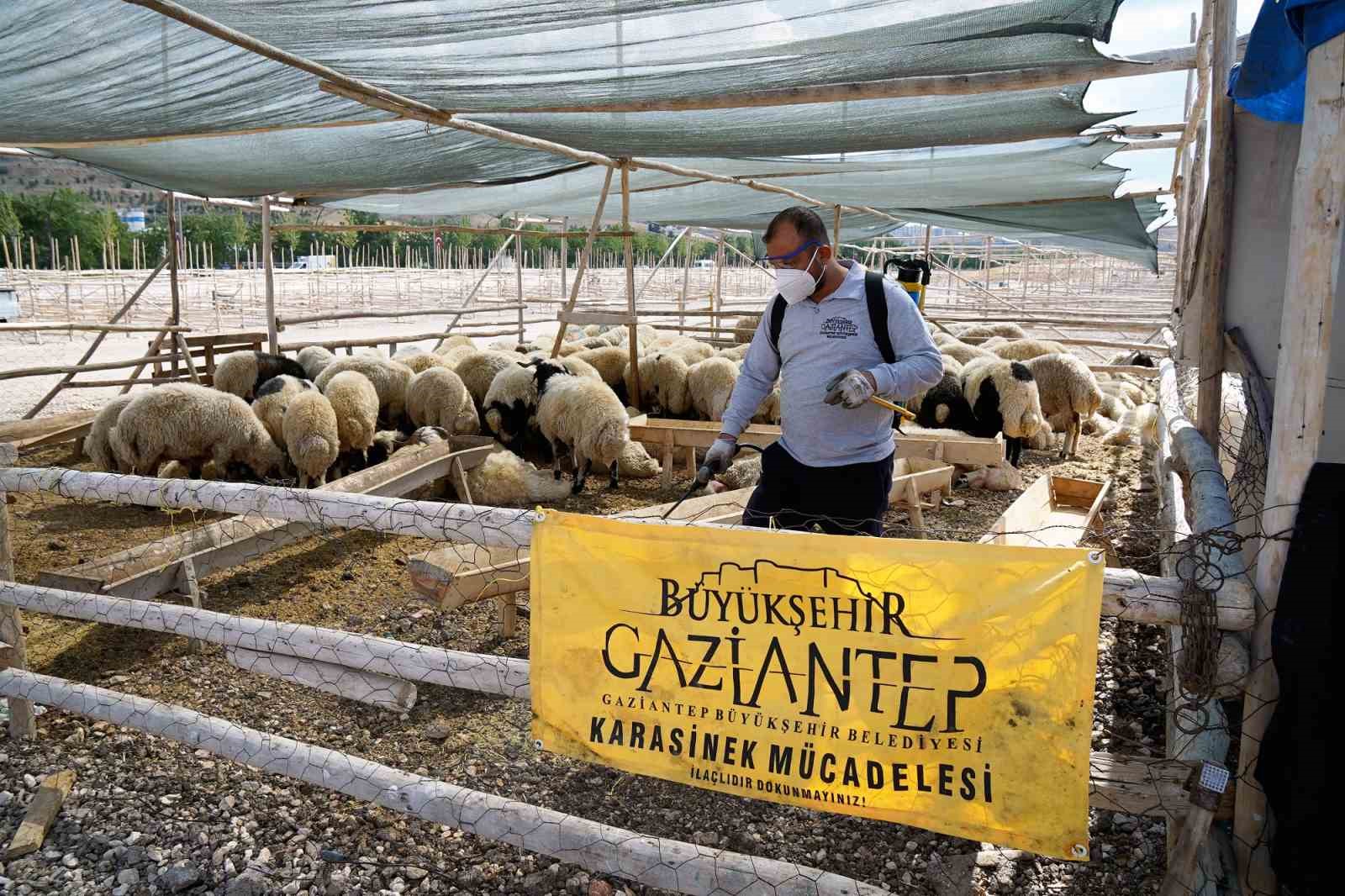 Bayramda yaklaşık 700 personel sahada olacak