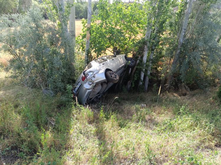 Yola çıkan köpek kazaya sebep oldu: 1 yaralı İhlas Haber Ajansı