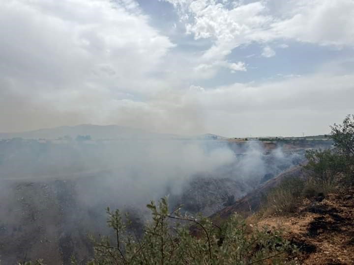 &Ccedil;&ouml;p sahasında &ccedil;ıkan yangın ormana sı&ccedil;ramadan s&ouml;nd&uuml;r&uuml;ld&uuml;
