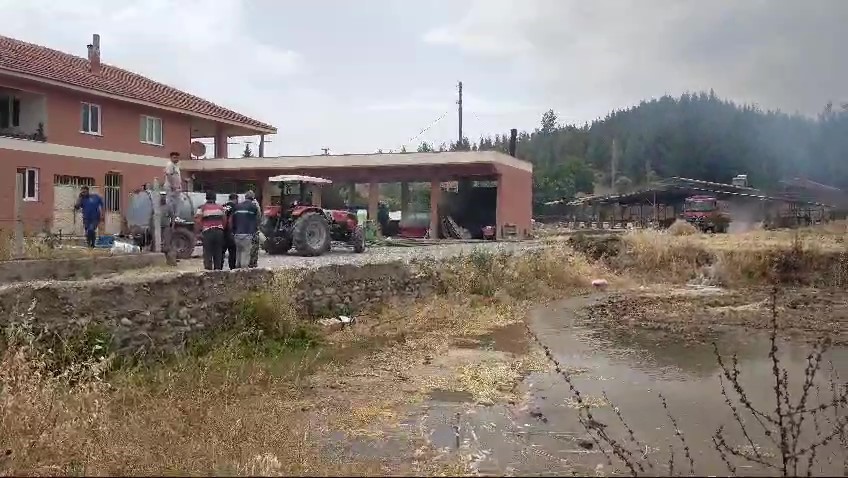 Alevler yerleşim alanlarını tehdit ediyor
