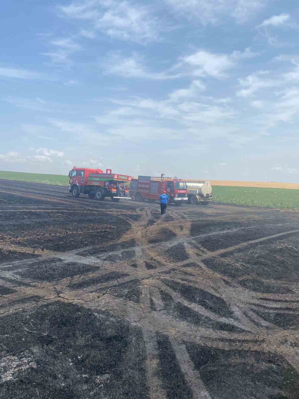 Keşan&rsquo;da 350 d&ouml;n&uuml;m buğday k&uuml;l oldu
