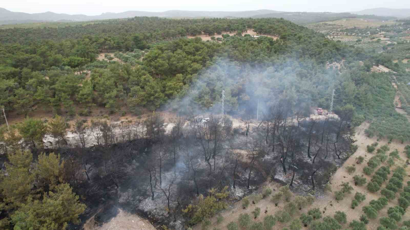 Manisa&rsquo;daki orman yangını k&ouml;ye sı&ccedil;ramadan kontrol altına alındı
