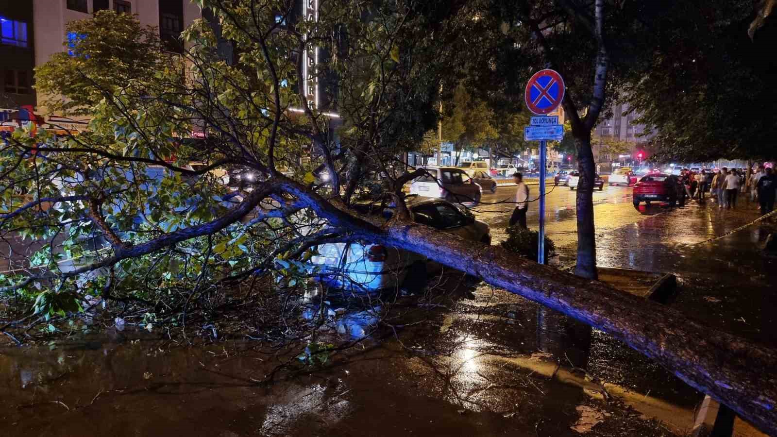 Kayseri’de şiddetli rüzgar ağaçları devirdi, vatandaşlar yolda mahsur kaldı
