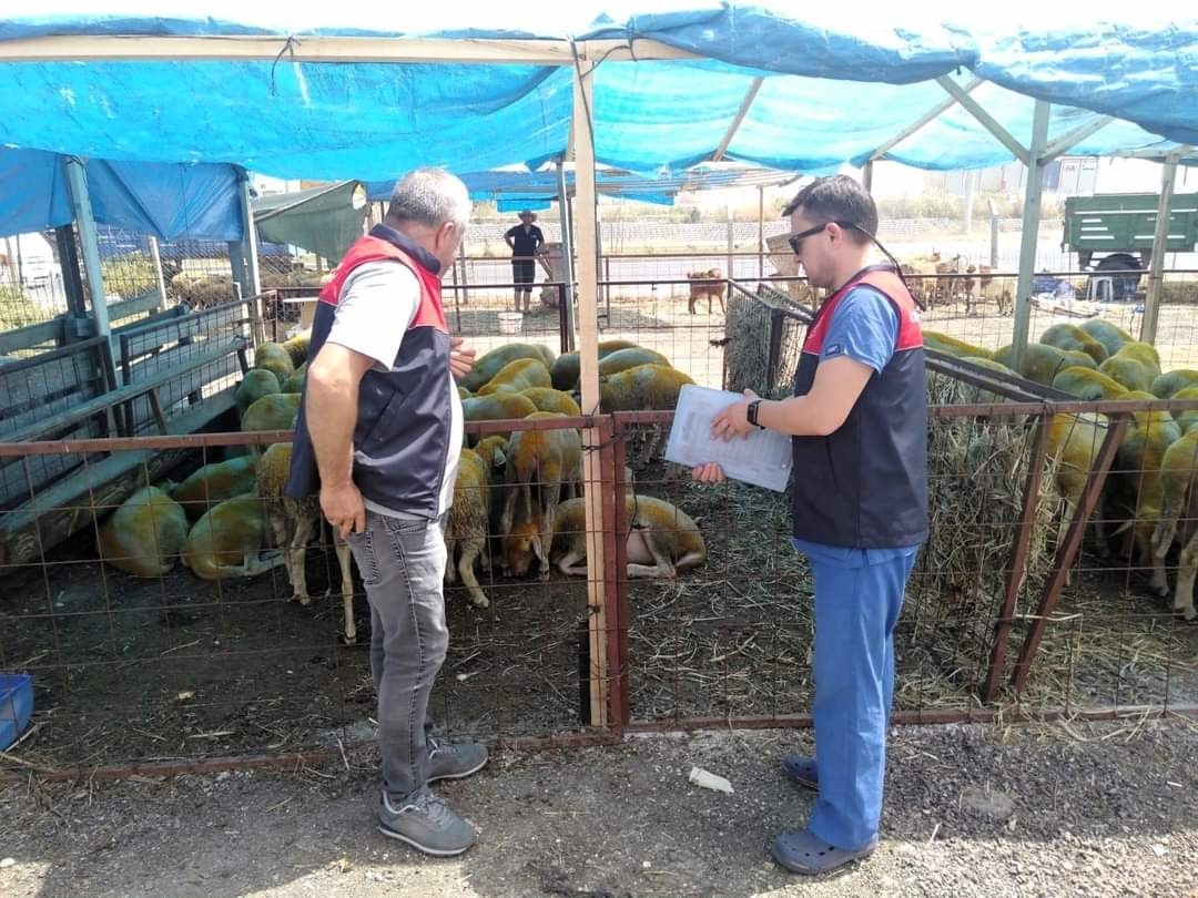 Kırklareli&rsquo;nde kurbanlık hayvan satış yerleri denetlendi
