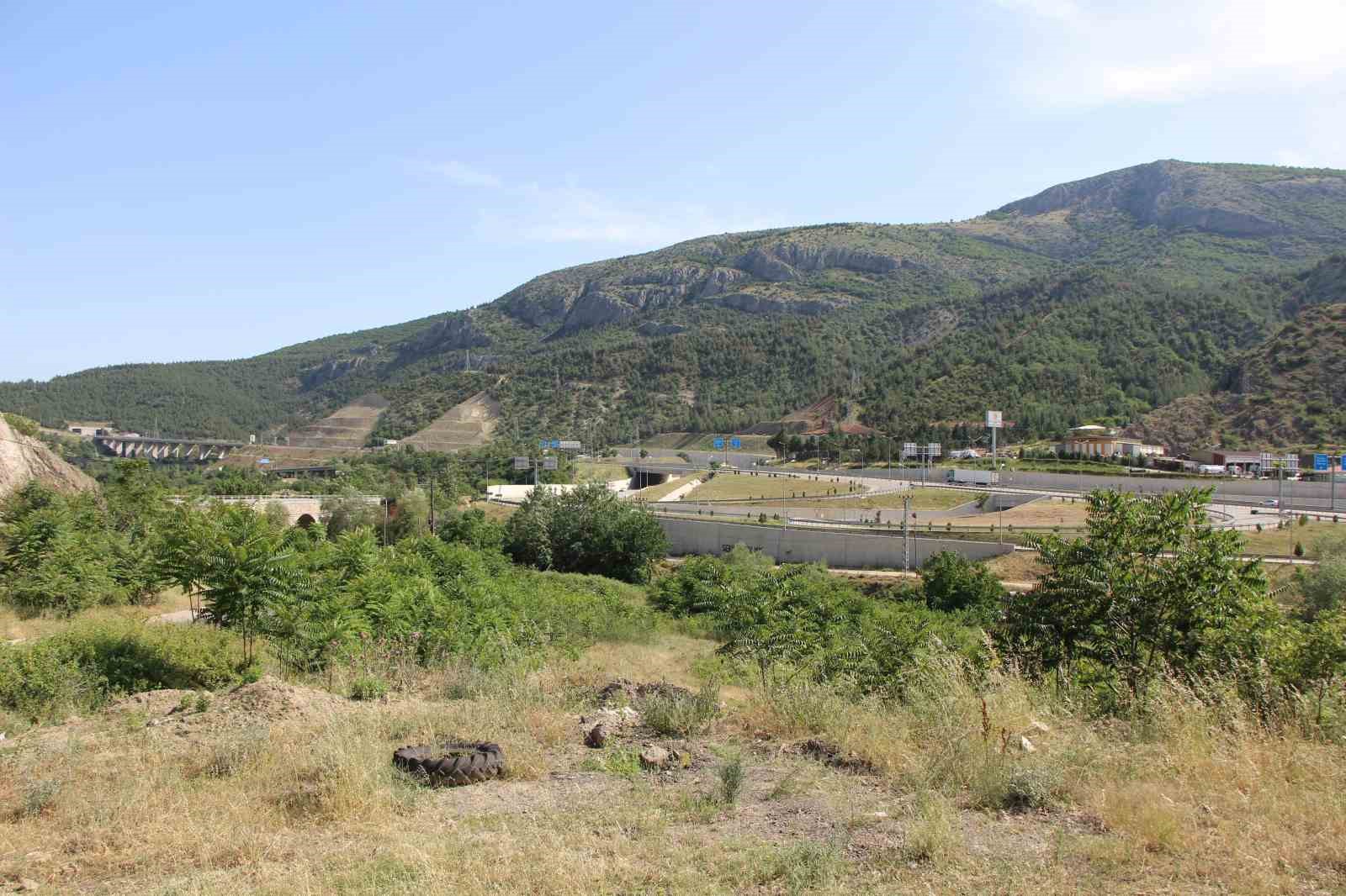 Karadeniz’i kahverengi kokarcadan samuray arılar koruyacak
