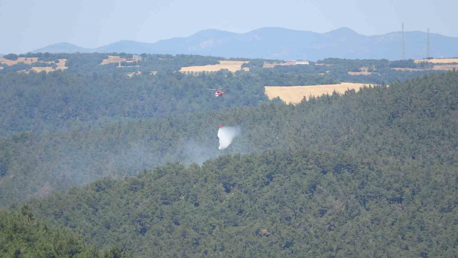 Çanakkale'de orman yangını: Havadan ve karadan müdahale