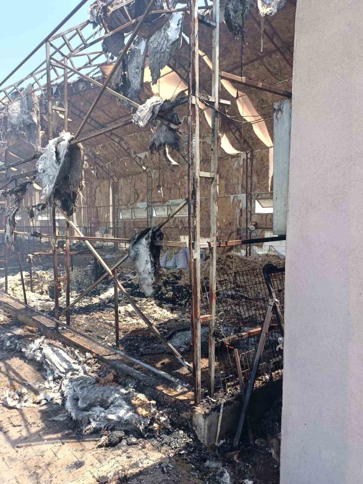 Manyas&rsquo;taki &ccedil;iftlik yangınında 52 koyun telef oldu
