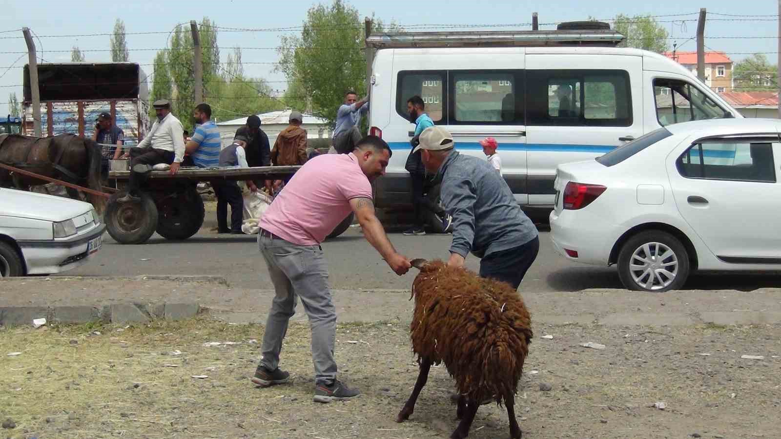 Kars&rsquo;ta hayvan pazarında yoğunluk

