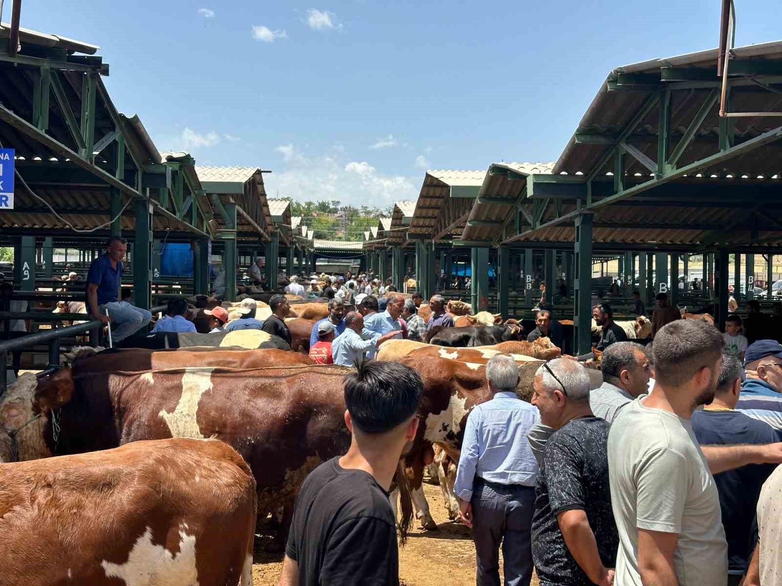 Kurban Bayramı &ouml;ncesi canlı hayvan pazarında yoğunluk yaşanıyor
