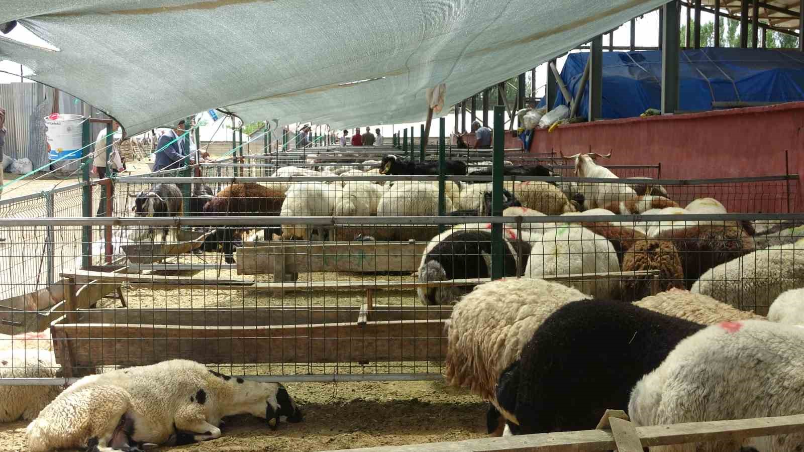 Bingöl’de kurban pazarındaki durgunluk dikkat çekti
