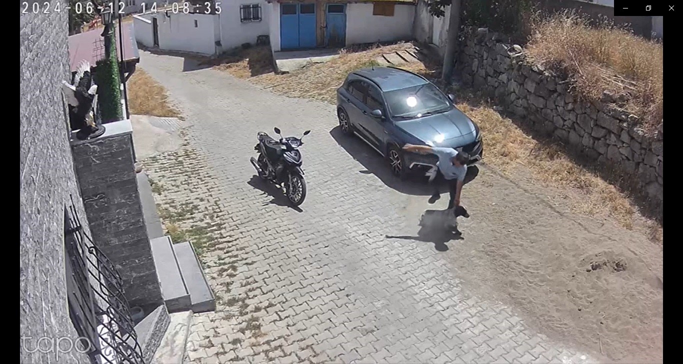 K&ouml;peğe şiddet kamerada

