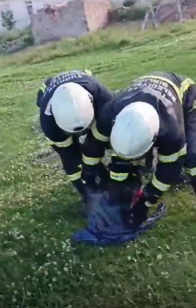 Kars&rsquo;ta facia kıl payı &ouml;nlendi
