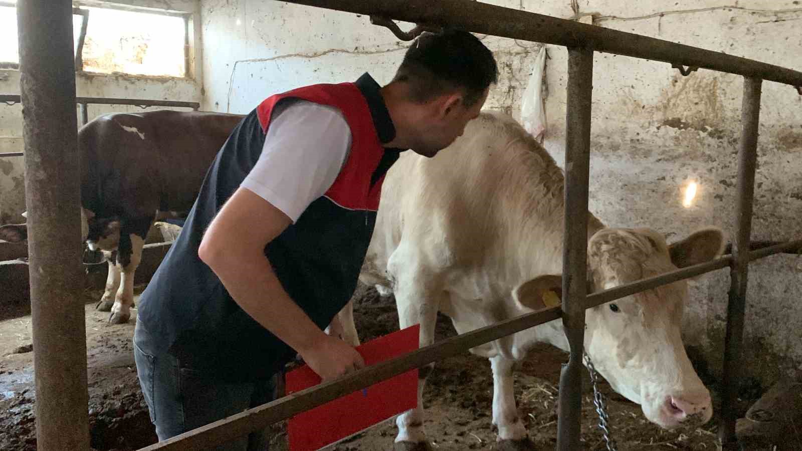 Trakya’da kurban kesim ve satış alanlarında denetleniyor