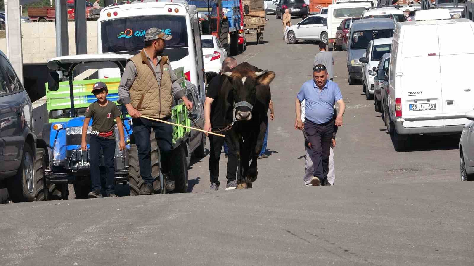 Yozgat’ta 46 acemi kasap hastanelik oldu
