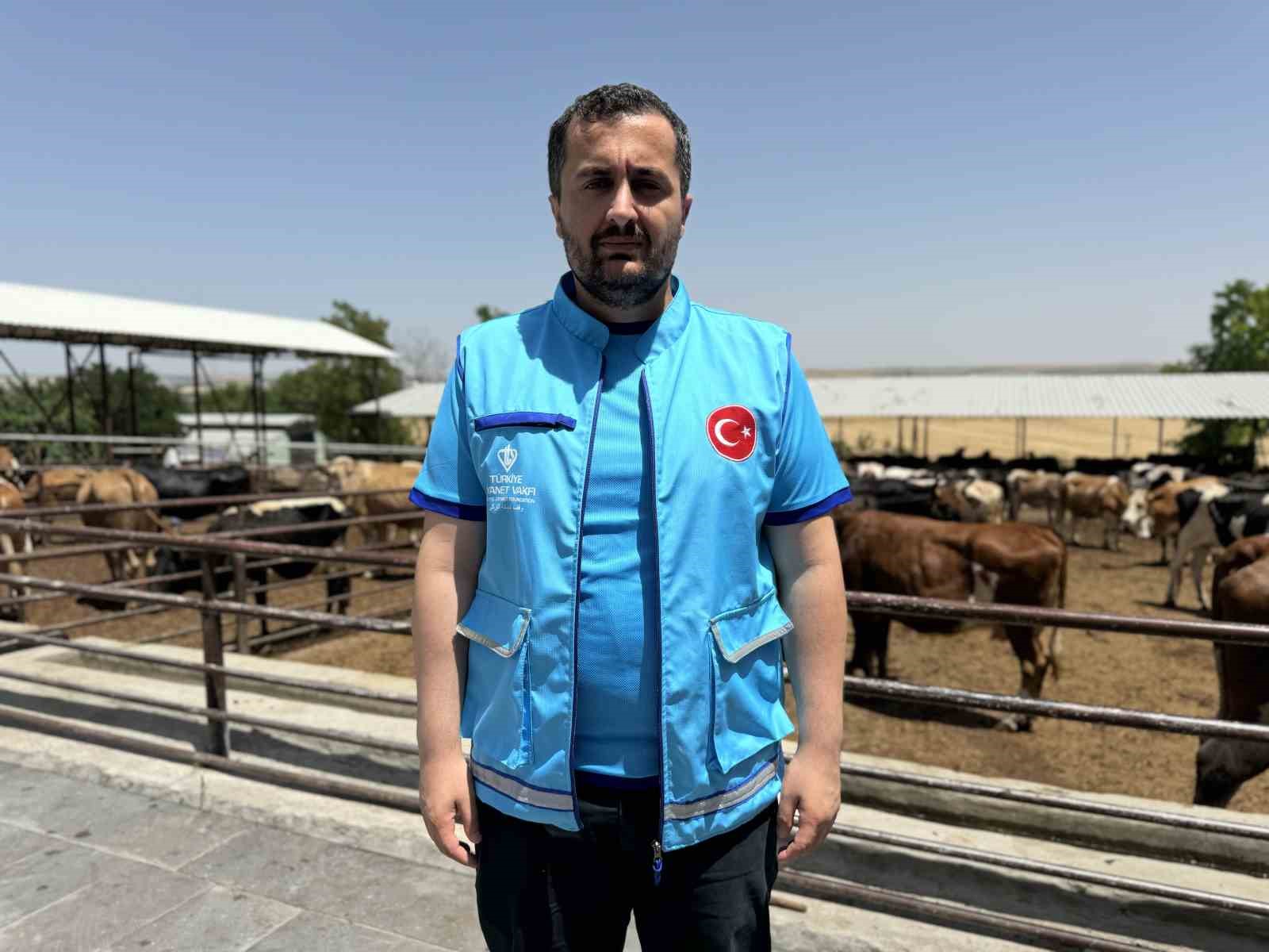 TDV, 126 bin ihtiya&ccedil; sahibi aile i&ccedil;in kurbanlıkların kesimine başladı
