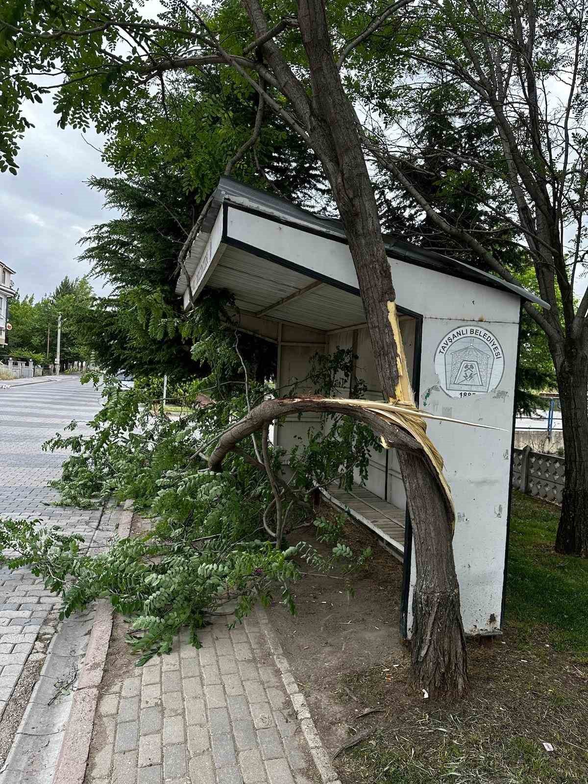 Tavşanlı&rsquo;da şiddetli r&uuml;zgar ağa&ccedil;ların dallarını kırdı
