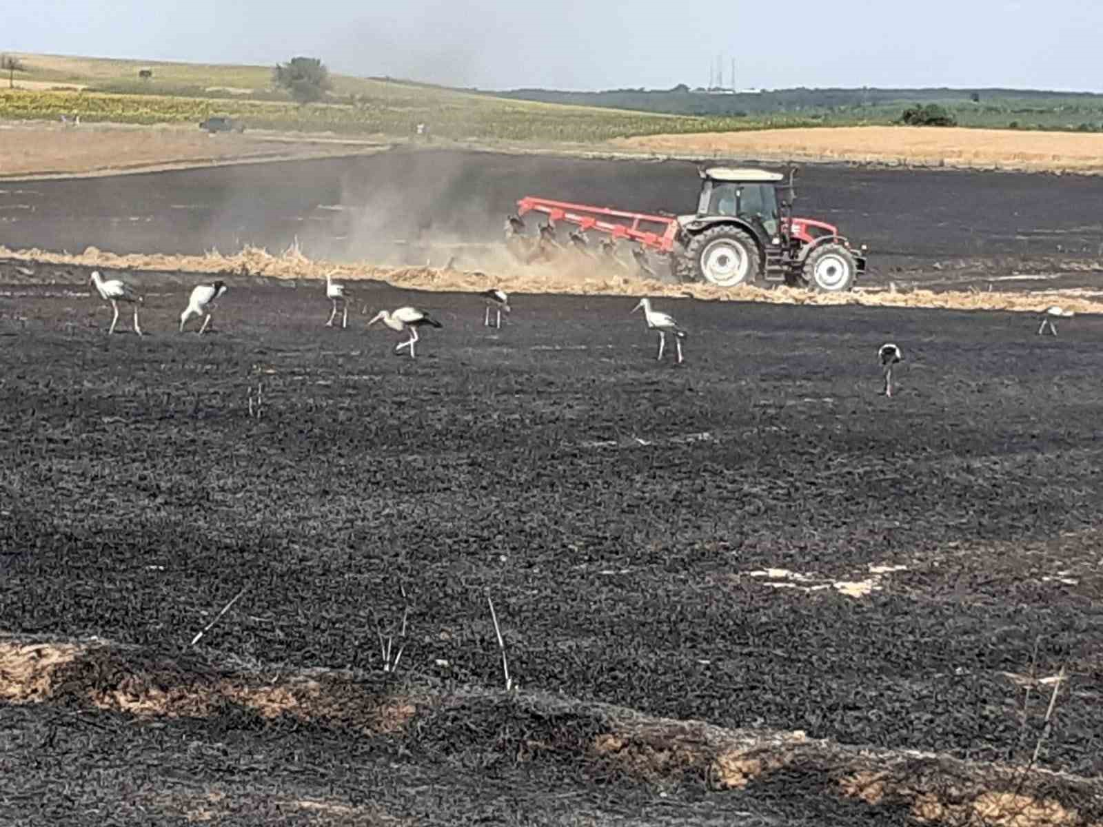 Edirne’deki yangında 20 bin dönümlük alanda 38 ton buğday kül oldu