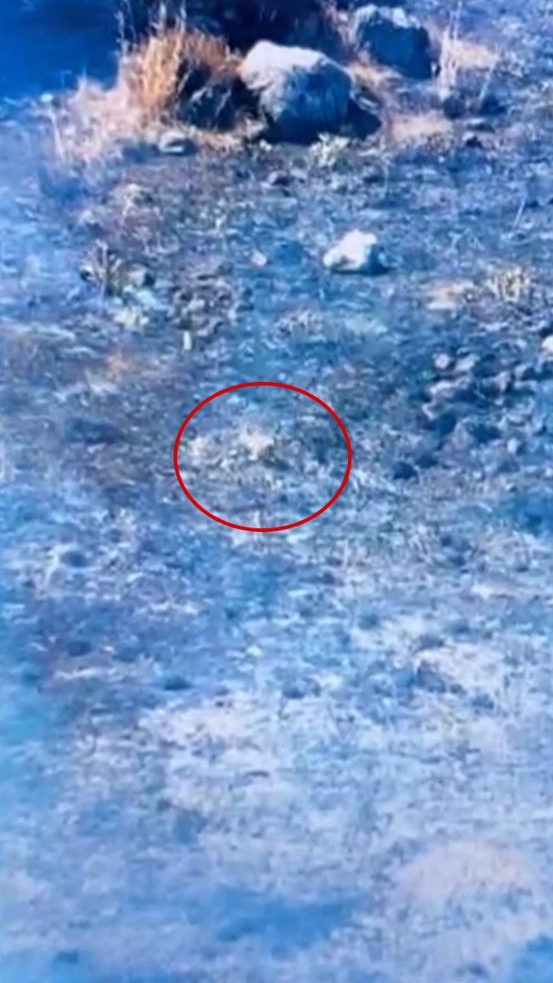 Gece boyunca yanan Çiçek Adası küle döndü 