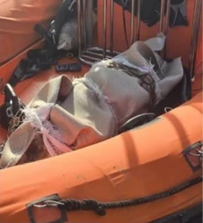 Denizde halıya sarılmış halde cesedi bulunan Sedef G&uuml;ler cinayetinin ş&uuml;phelisi tutuklandı
