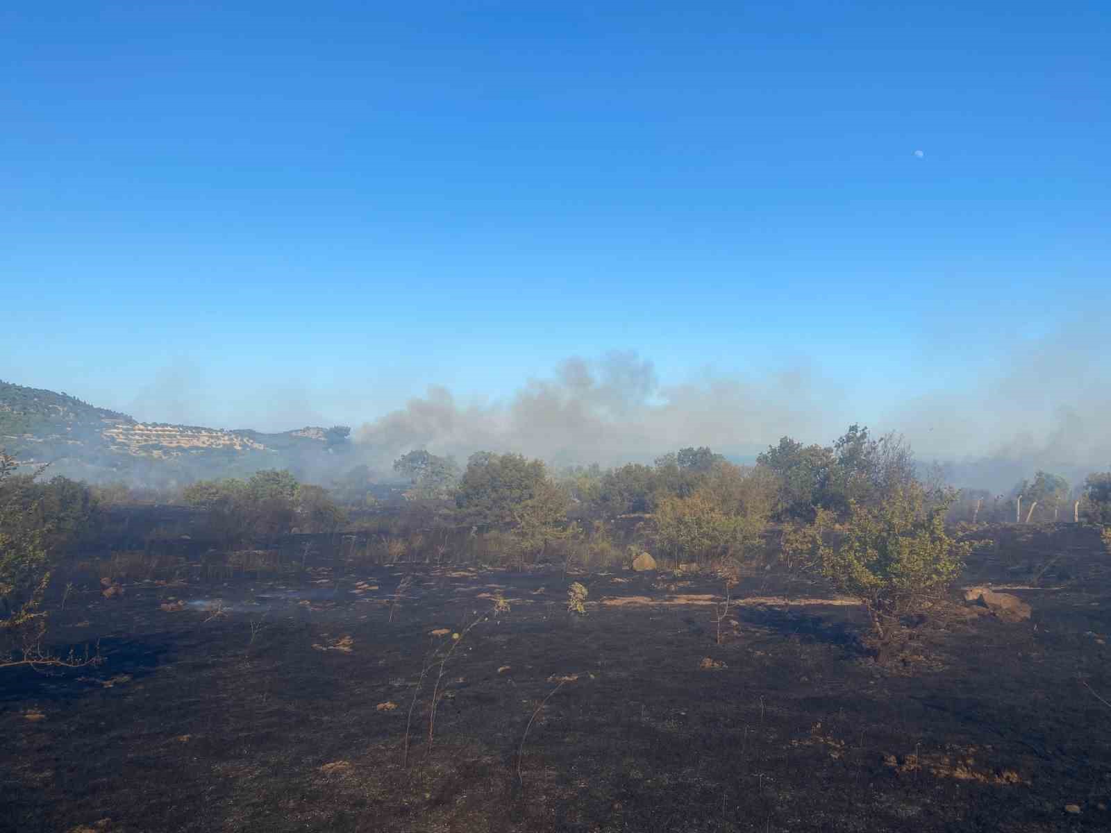 Ayvacık&rsquo;ta orman yangını
