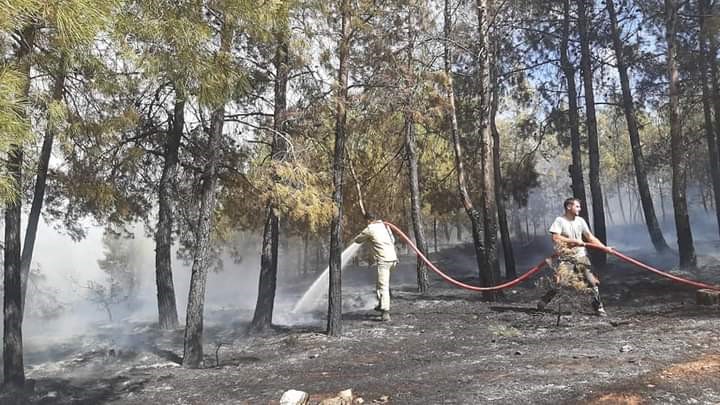 Denizli&rsquo;de orman yangını kısa s&uuml;rede kontrol altına alındı
