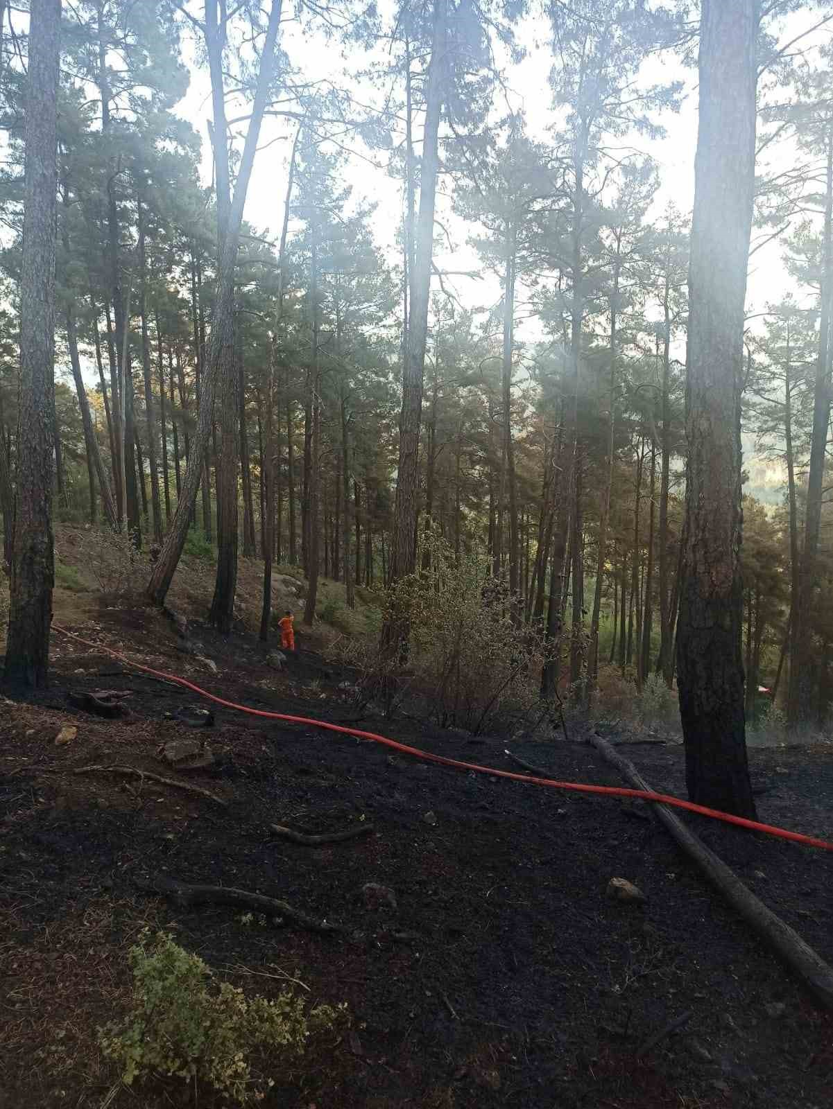 Burdur&rsquo;da &ccedil;ıkan orman yangınında 10 dekar alan yandı
