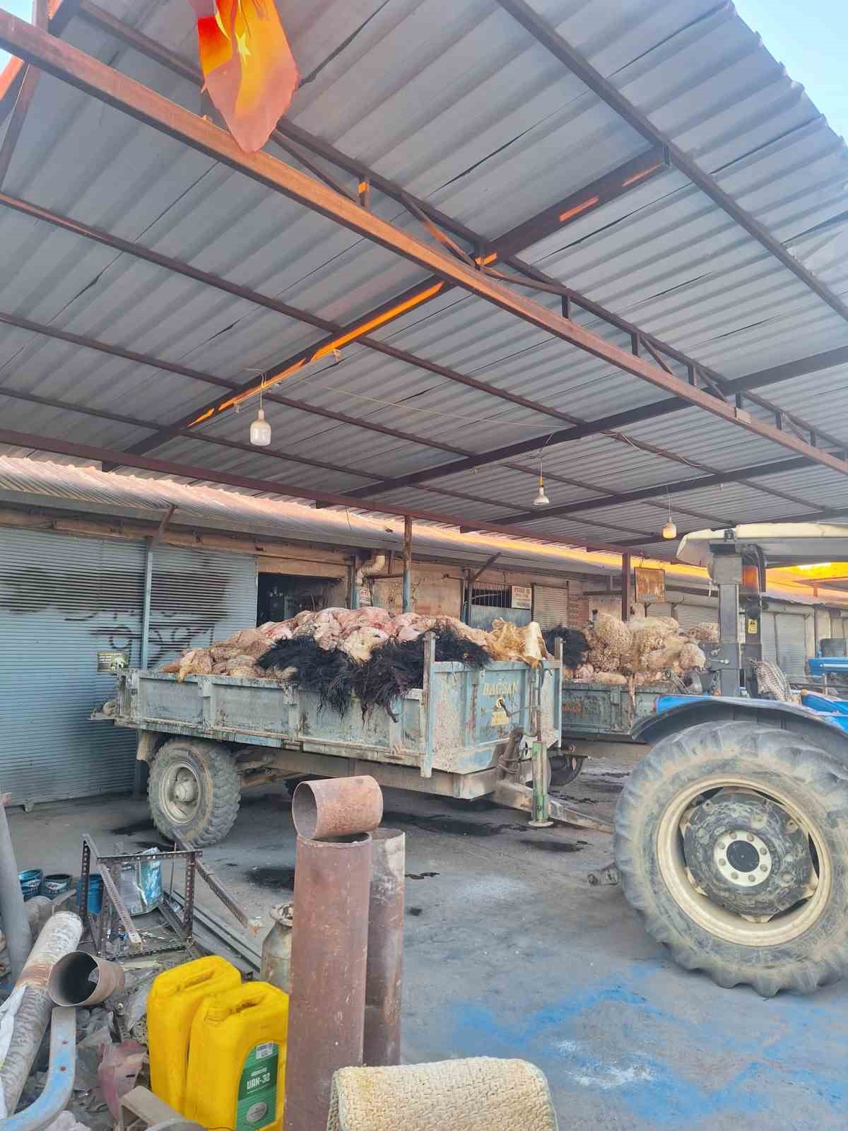 T&uuml;ccarın almadığı deriler elde kaldı
