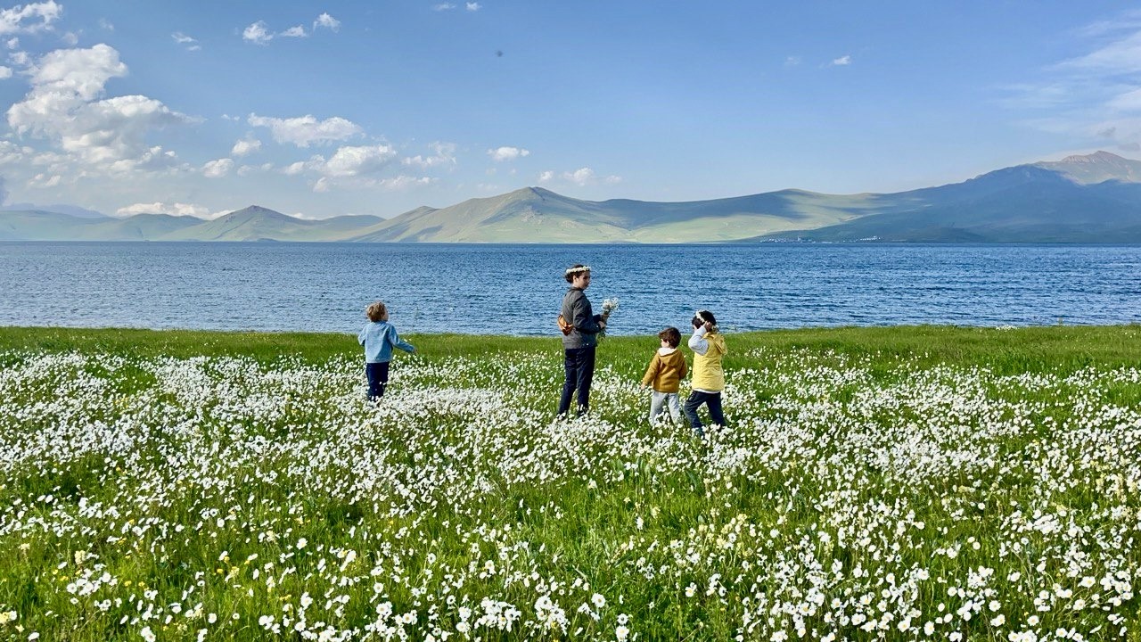 Bembeyaz papatya tarlası fotoğrafçıların gözdesi