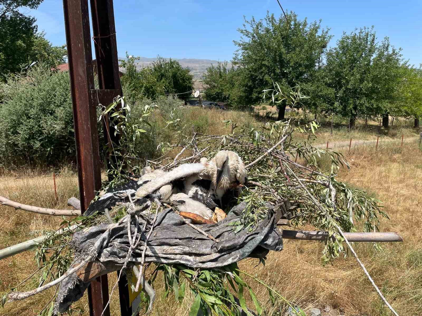 Yuvadan düşen yavru leyleklerin imdadına itfaiye ekipleri yetişti
