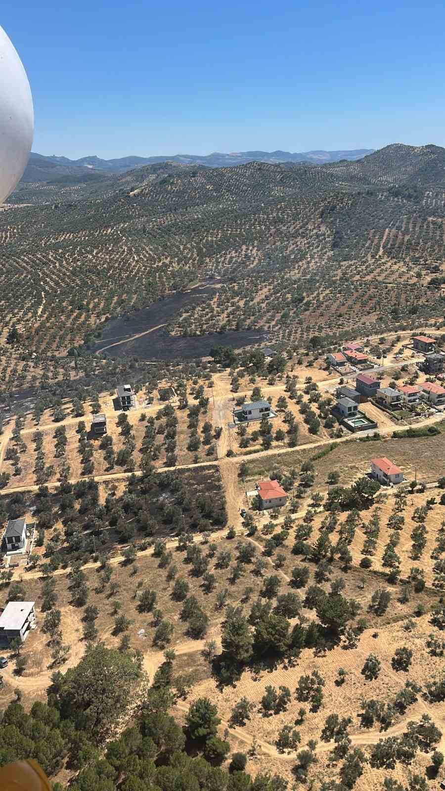 &Ccedil;&ouml;pl&uuml;kte &ccedil;ıkan yangın zeytinlik alana sı&ccedil;radı

