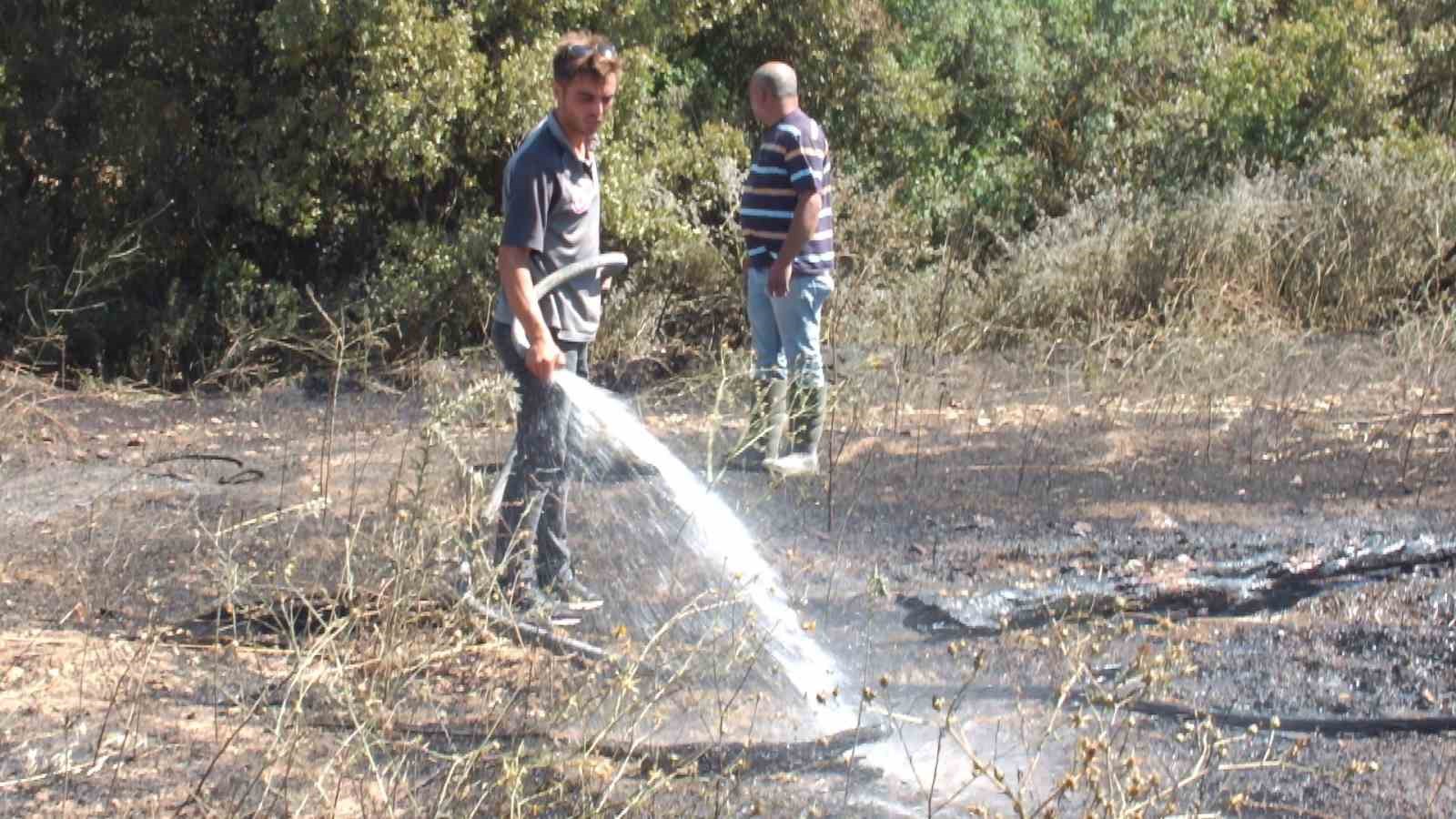 Balıkesir&rsquo;deki yangında y&uuml;zlerce zeytin ve meyve ağacı zarar g&ouml;rd&uuml;
