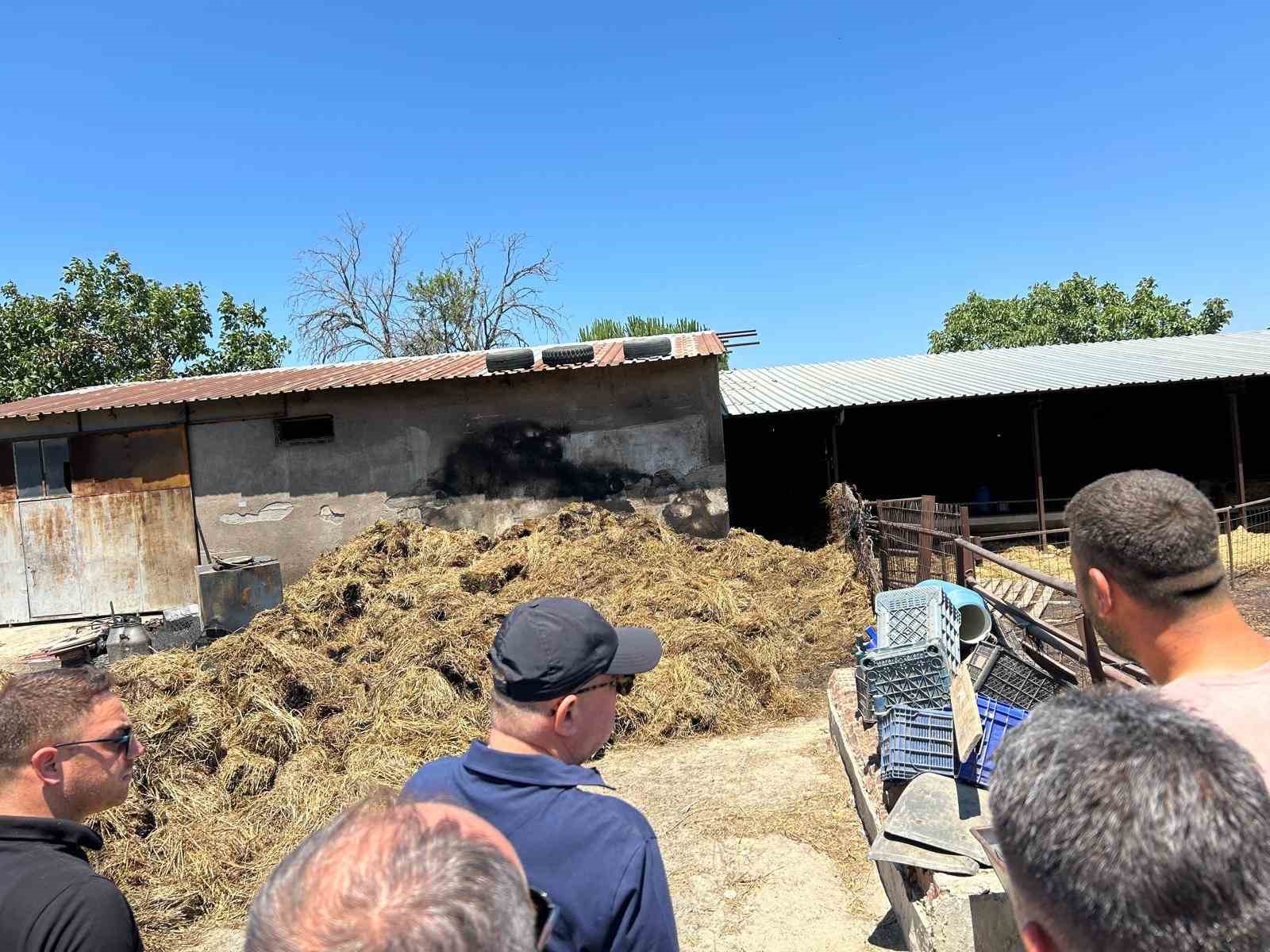 AK Partili Gider, yangından etkilenen b&ouml;lgede vatandaşlarla buluştu
