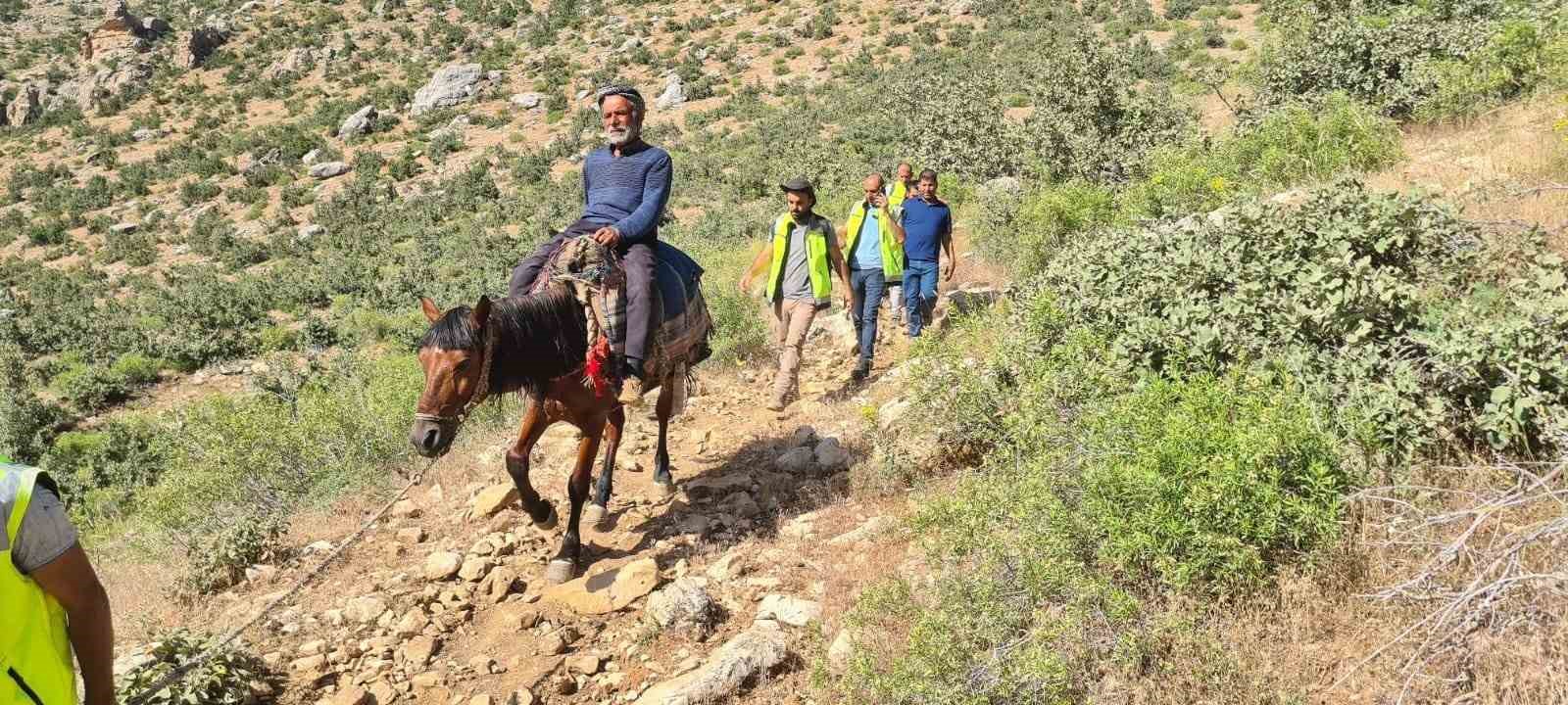 Siirt’te dağ başında rahatsızlanan çoban at sırtında ambulansa ulaştırıldı