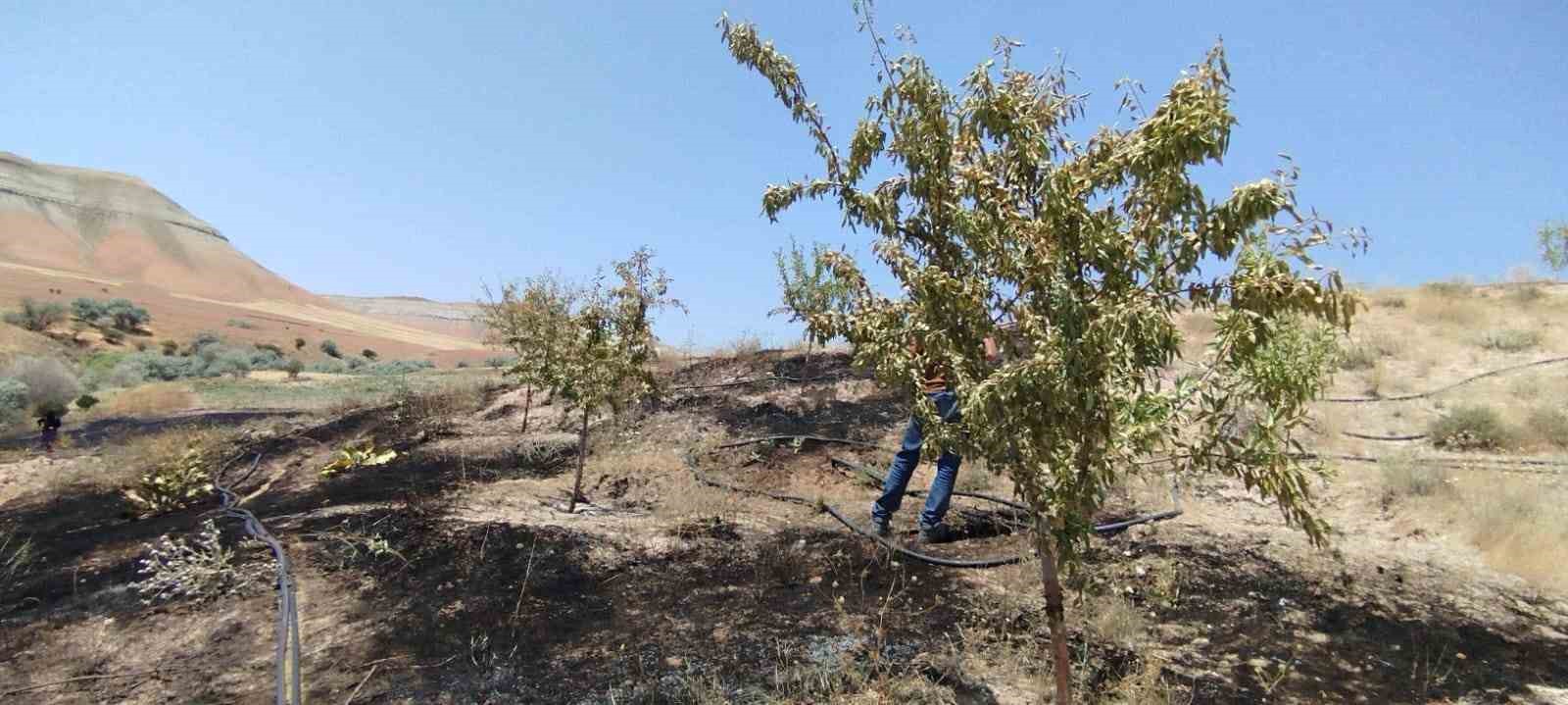Yangın badem ve fıstık ağa&ccedil;larına zarar verdi
