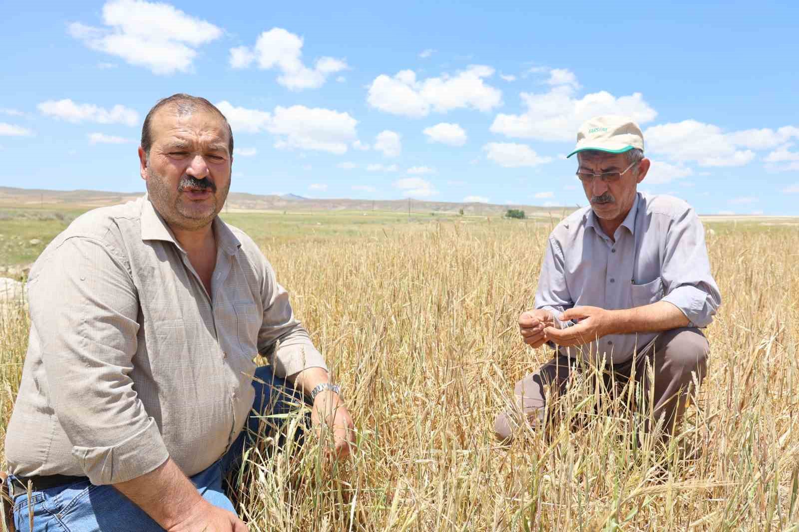 Nevşehir’de dolu yağışından 40 bin dekar alan zarar gördü
