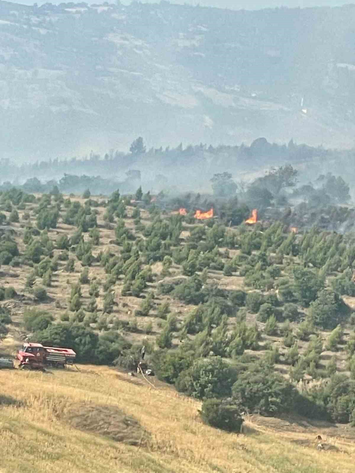 Bursa’daki orman yangınına havadan müdahale sürüyor