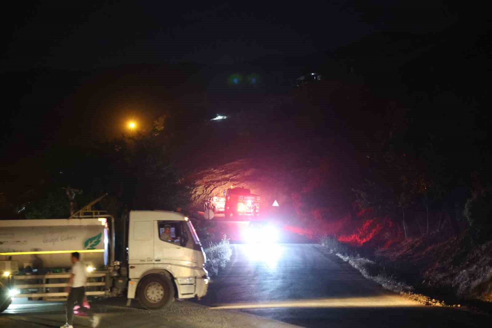 Kahramanmaraş’ta iki ayrı alanda örtü yangını