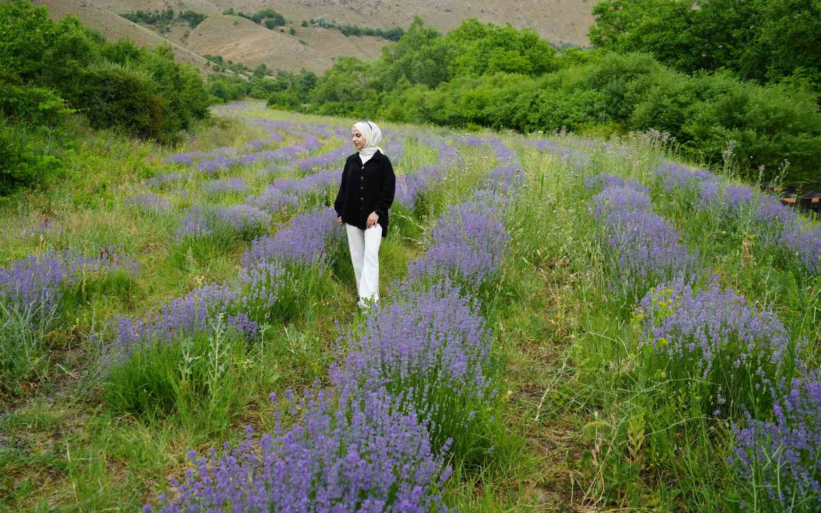 &Ccedil;ağlayan&rsquo;ın &lsquo;Mor&rsquo; bah&ccedil;esine ziyaret&ccedil;i akını
