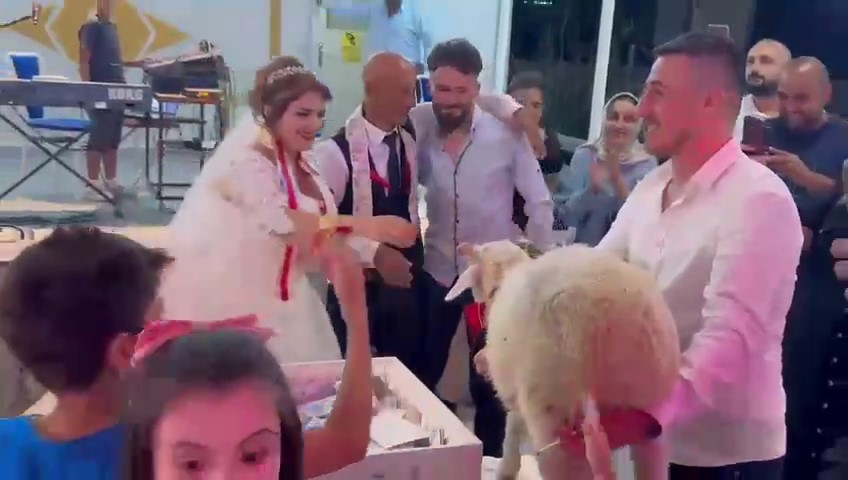 D&uuml;ğ&uuml;nde damada takı yerine koyun hediye ettiler

