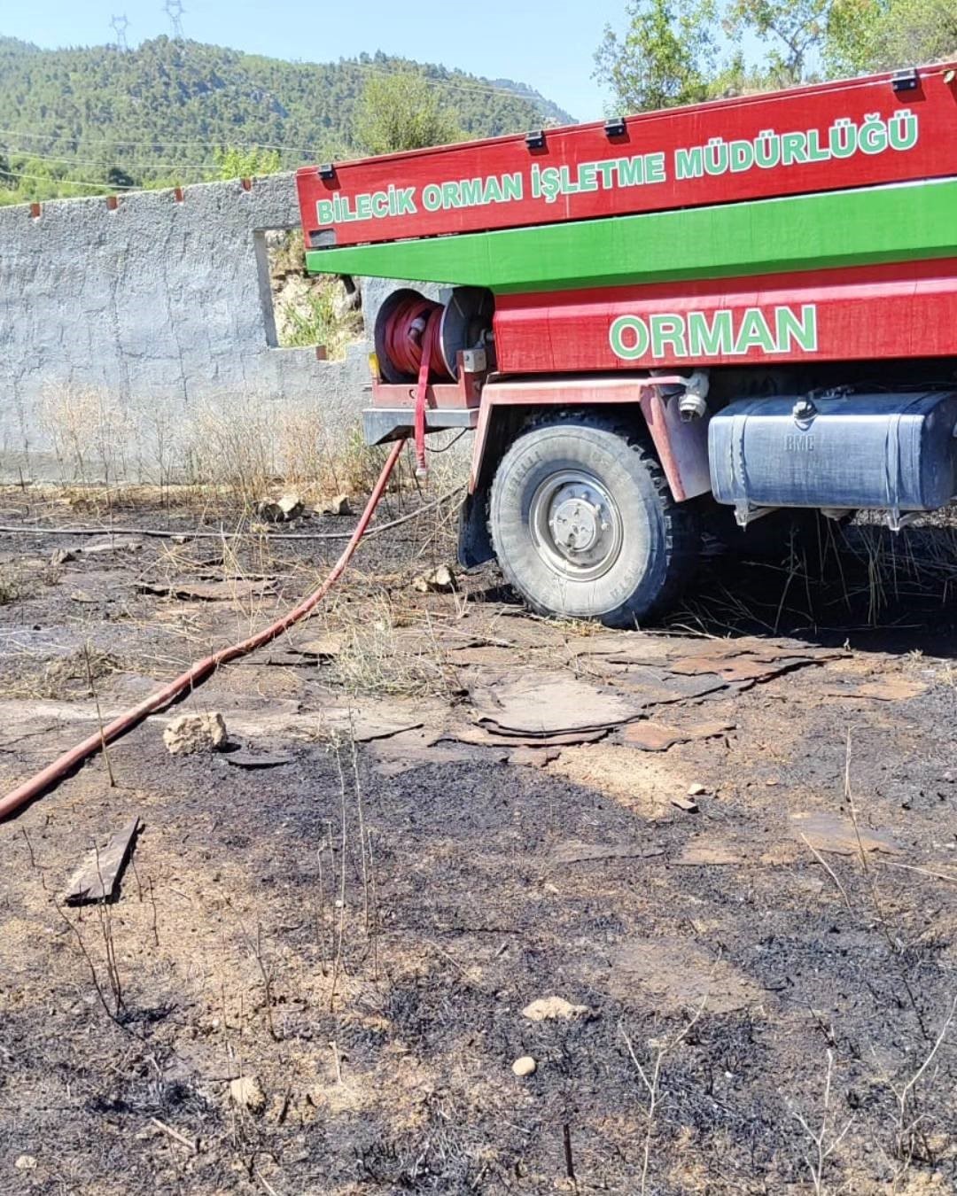 Bilecik’te elektrik tellerine çarpan kuş sürüsü yangına sebep oldu