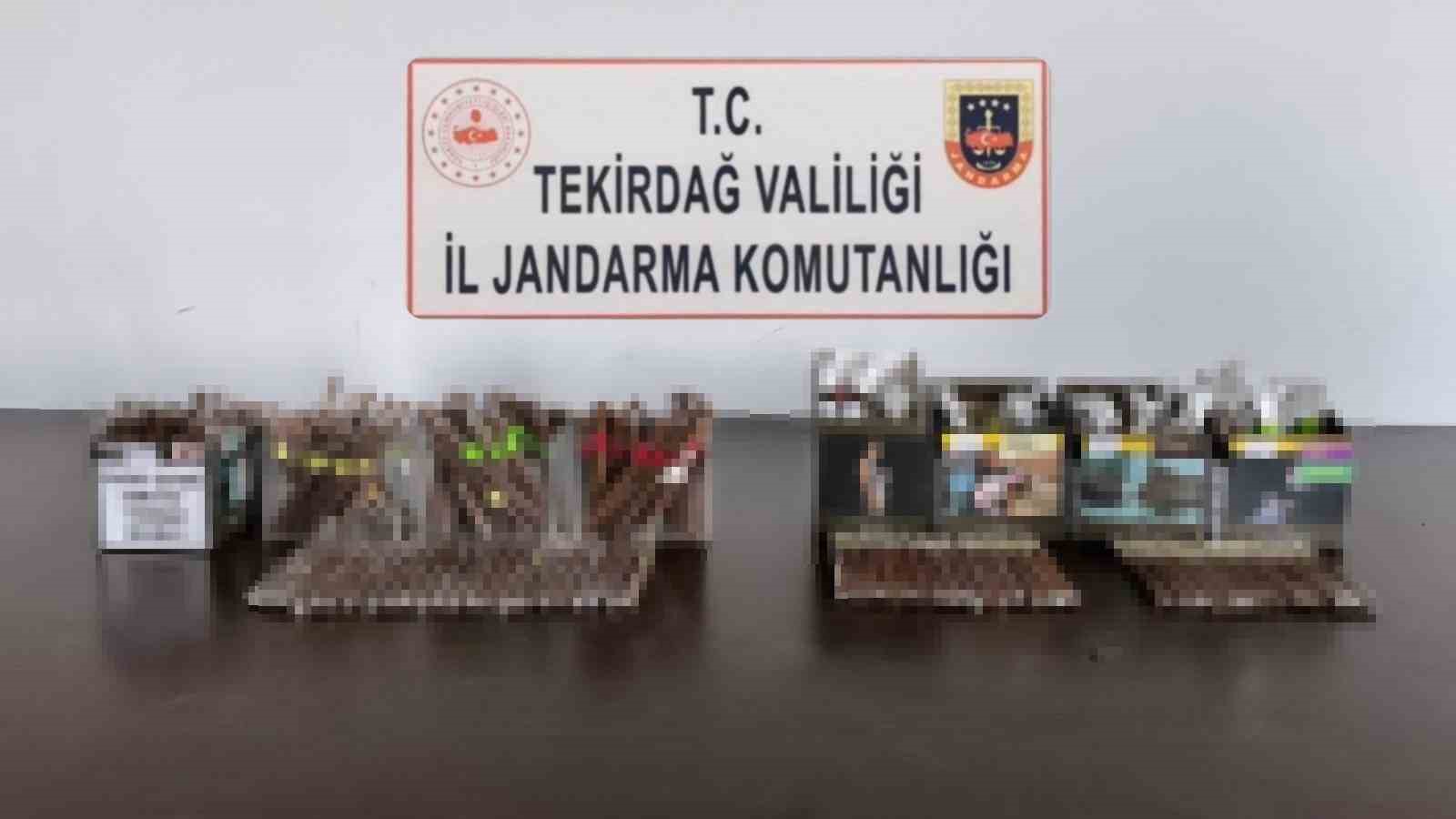 Tekirdağ&rsquo;da bandrols&uuml;z puro ve uyuşturucu madde ele ge&ccedil;irildi
