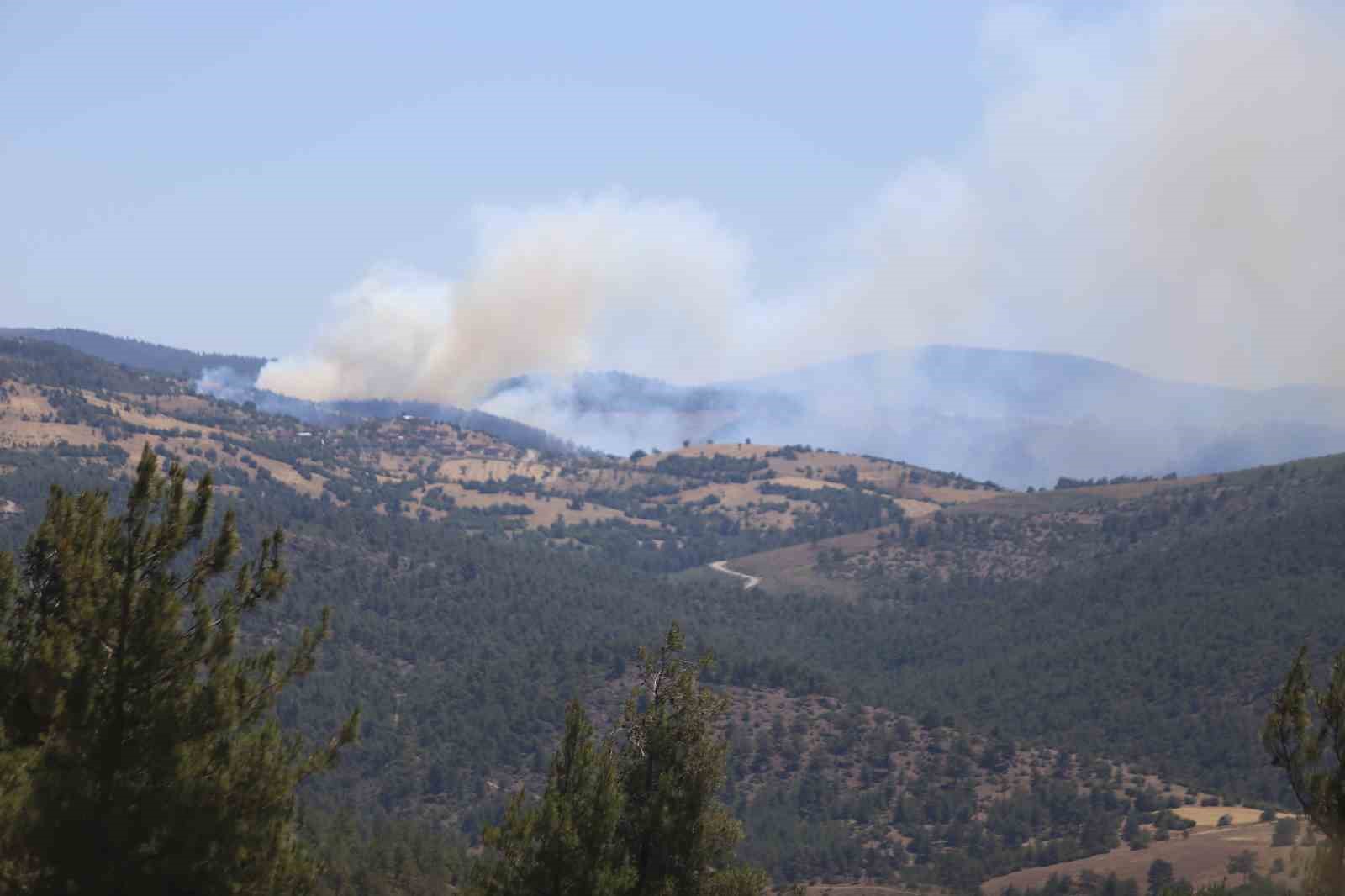 Bursa&rsquo;daki yangın tekrar başladı
