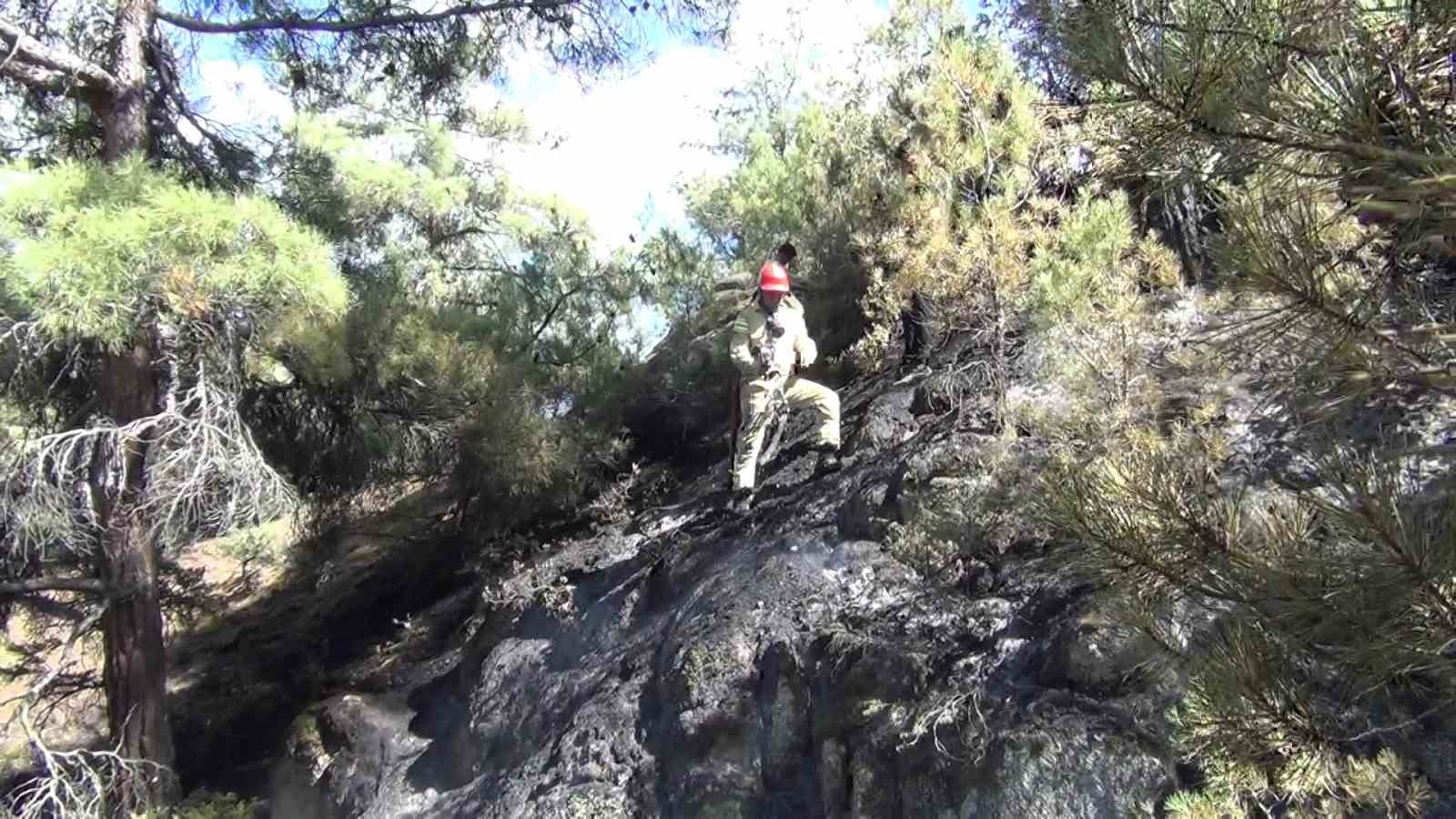 Oğuzlar’da orman yangını