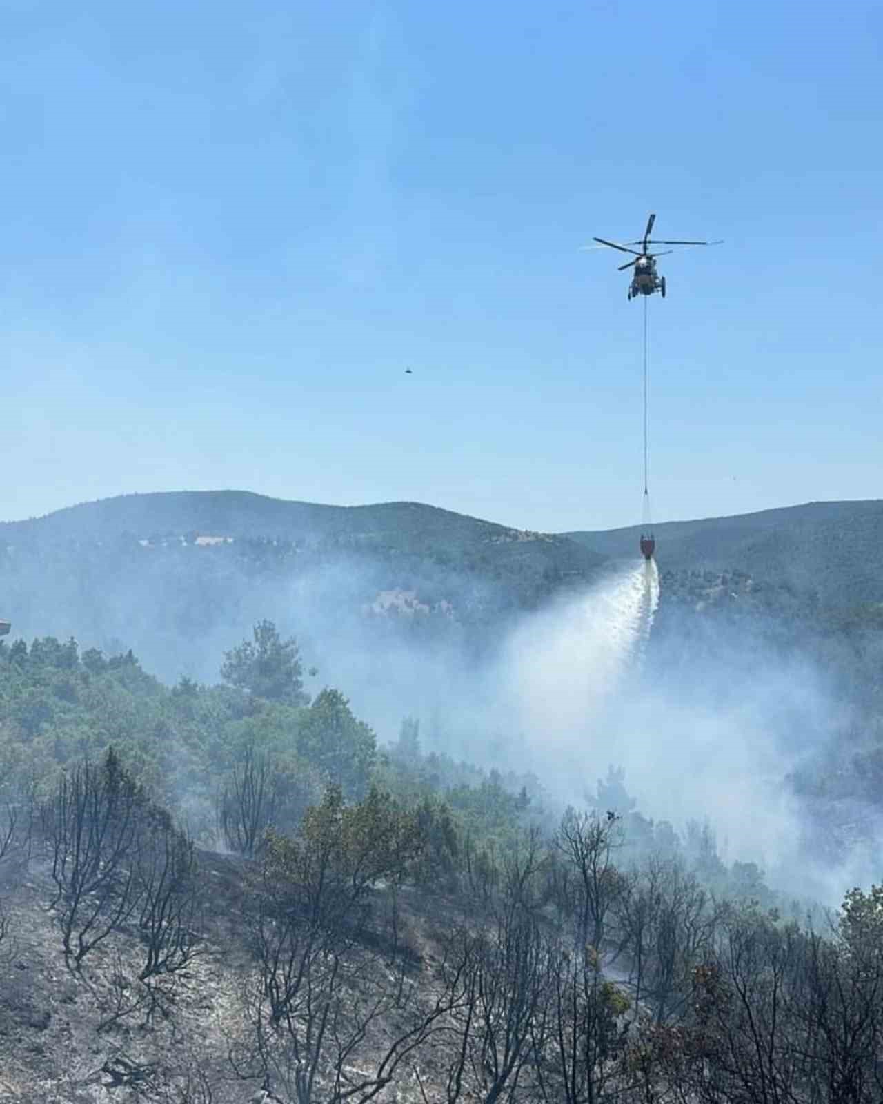Bilecik’teki orman yangınına hem havadan hem karadan müdahale edildi