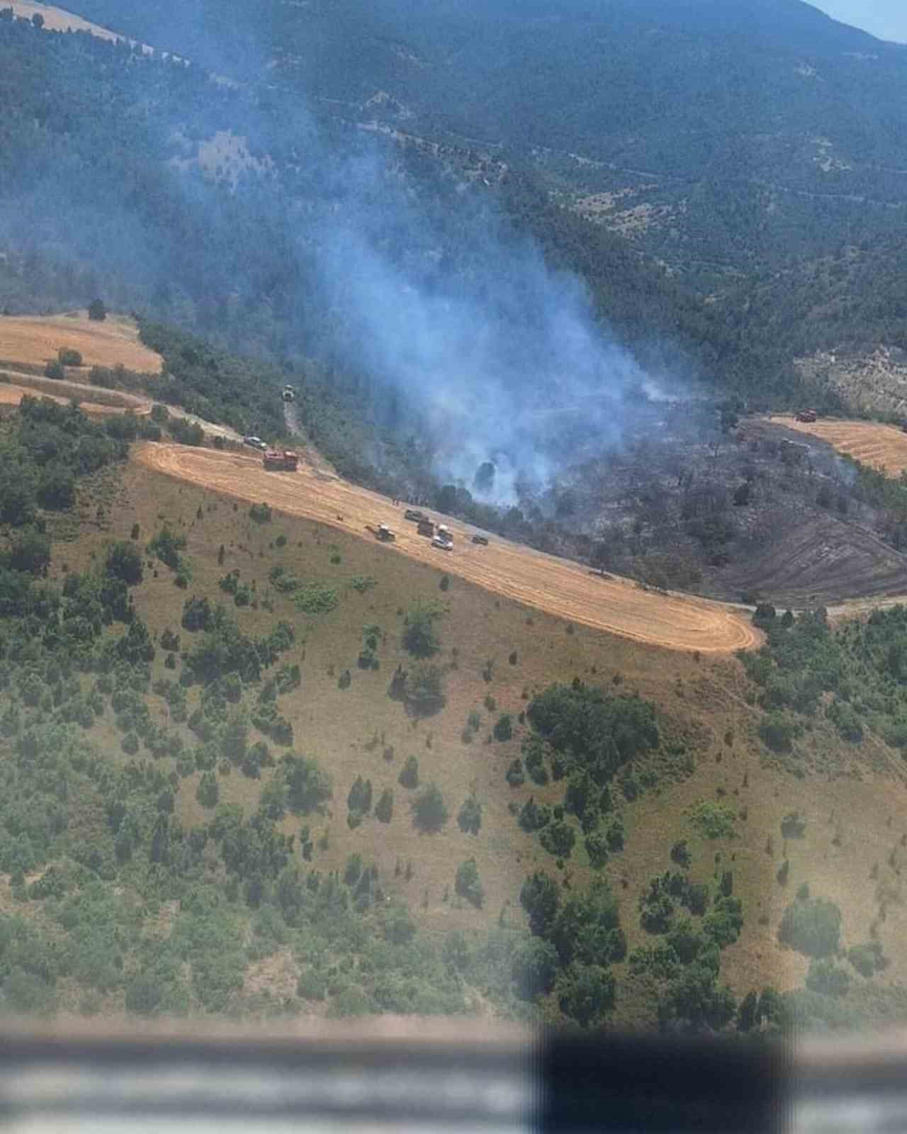 Bilecik’teki orman yangınına hem havadan hem karadan müdahale edildi