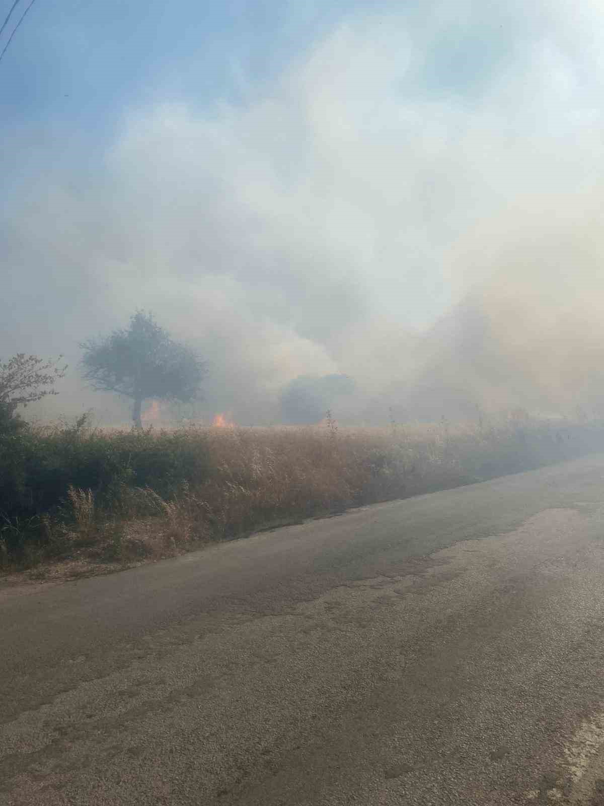 Savaştepe&rsquo;de arazi yangını ormana sı&ccedil;radı
